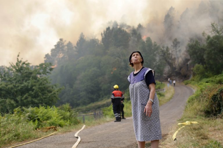 O Courel Vivo reclama dar más ayuda a plantaciones autóctonas como «protectoras» contra incendios
