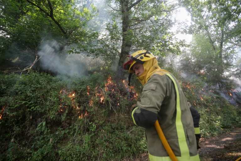 USO reclama contratar personal todo el año para prevenir incendios forestales