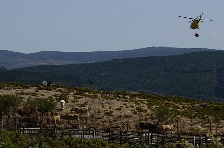 La oposición lamenta la «ausencia de autocrítica» de la Xunta tras el peor verano de la historia en incendios