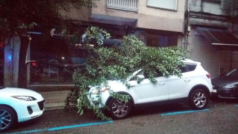 La caída de dos árboles en Vigo provoca daños en un vehículo y problemas en la VG-20