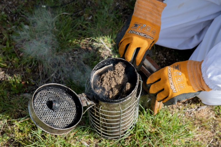 El programa de ayudas del sector apícola contará con 19 millones anuales entre 2023 y 2027