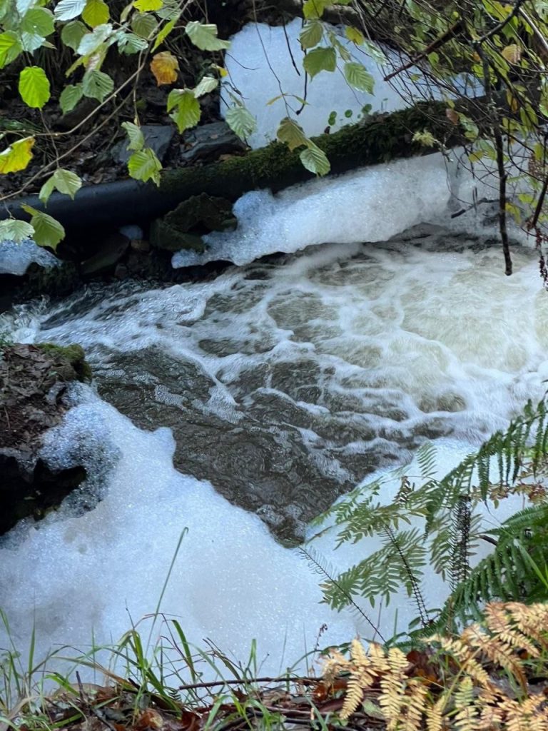 Ecologistas denuncian un vertido de procedencia industrial en el río Eifonso, en Vigo