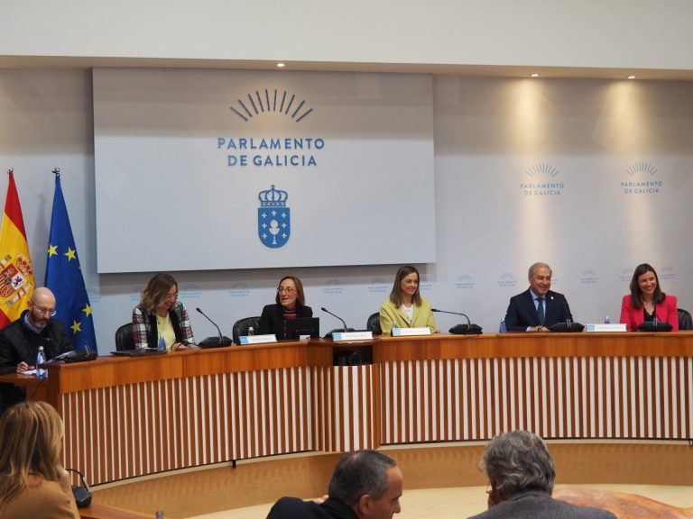 La Diputación de Lugo espera aprobar antes de final de mes unas cuentas que crecen un 10% hasta los 110 millones