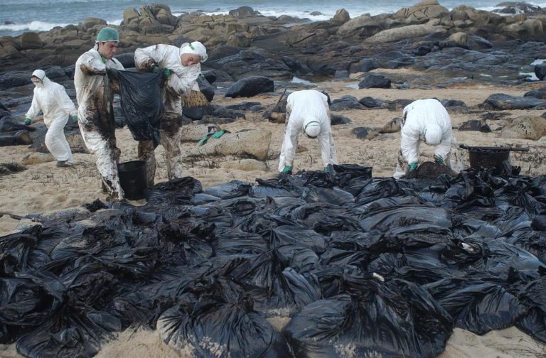 Ecologistas ven la costa recuperada tras 20 años del ‘Prestige’, aunque dudan de que sea en su totalidad