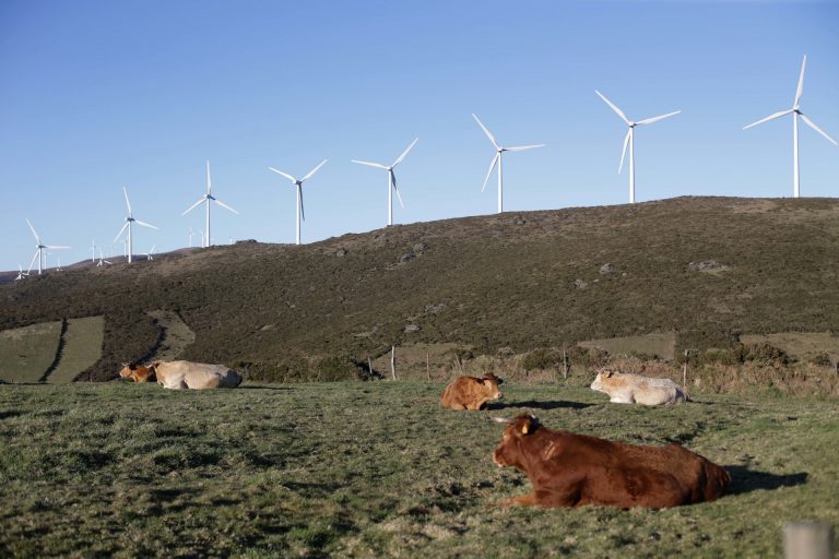 Xunta pide «prudencia» en la tramitación de parques eólicos en Galicia y señala que también dependen de otros organismos