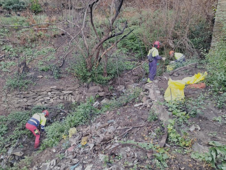 Concluyen las tareas de restauración forestal e hidrológica en las zonas de los incendios de Valdeorras