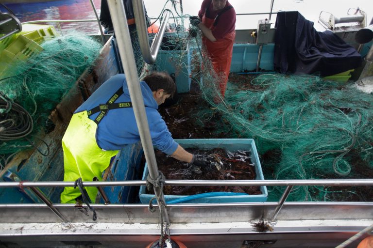 Pesca.- El PPdeG llevará al Parlamento gallego una iniciativa para pedir la rebaja del IVA en alimentos del mar
