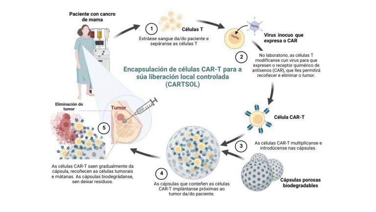 La USC coordina el desarrollo de una tecnología innovadora para combatir tumores con cápsulas nanoestructuradas