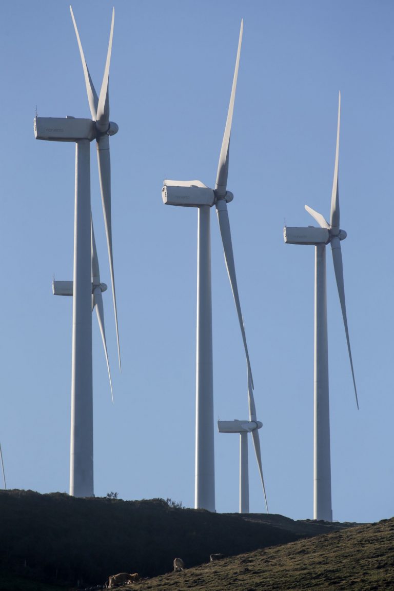 La Xunta lleva tramitadas 64 declaraciones ambientales de parques eólicos de 140 que debe emitir hasta el 24 de enero