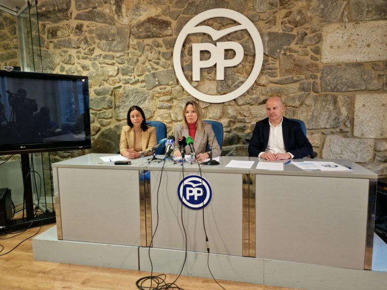 PP de Vigo pide al Gobierno ayudas por al menos 700 millones para la automoción ante el «riesgo real» de deslocalización