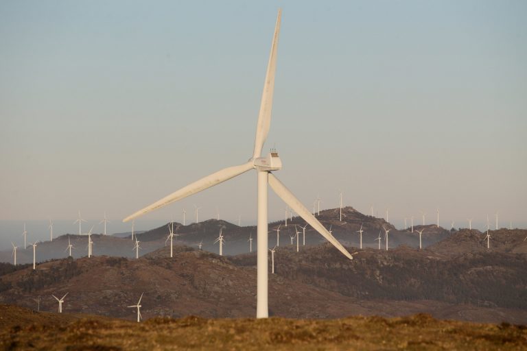 Balance de declaraciones ambientales de eólicos: 2.200 megavatios aprobados, 1.114 denegados y 417 que pierden conexión