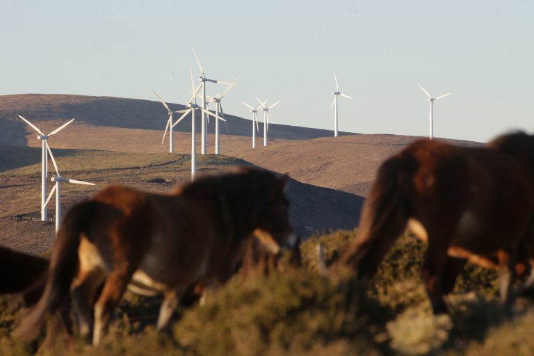 Una veintena de parques eólicos autorizados por la Xunta está en reservas de la biosfera