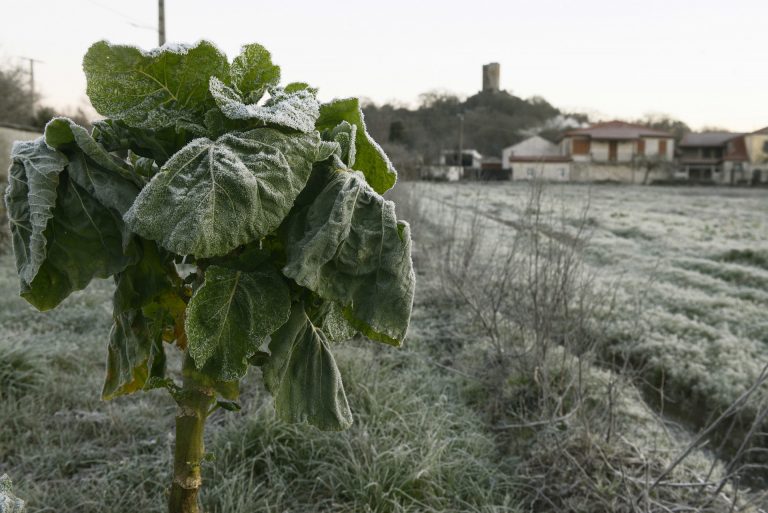 Temperaturas bajo cero en el sur de la provincia de Ourense: Calvos de Randín marca la mínima con -8ºC