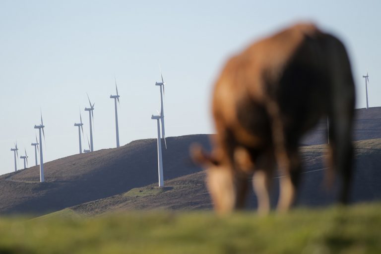 Rural.- El SLG demanda la paralización de parques eólicos hasta la aprobación de la zonificación de renovables de la PAC