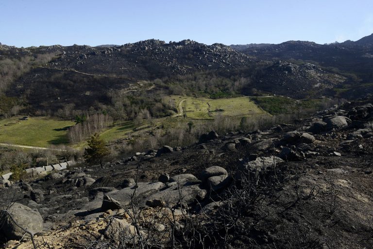 Rural.- Controlado el incendio de Muíños con 160 hectáreas arrasadas del Parque Natural do Xurés (Orense)