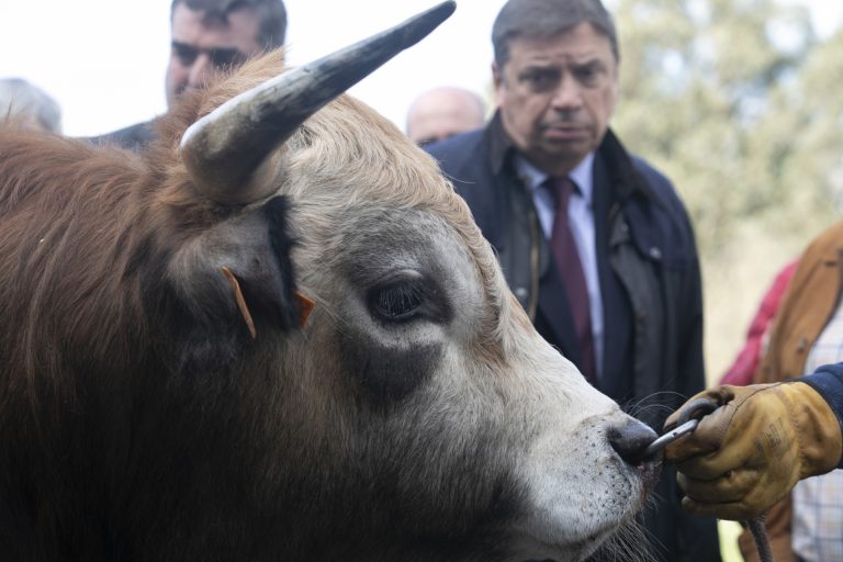 Pesca.- Planas defiende la pesca de arrastre y pide fondos europeos para lograr «unos barcos adecuados al siglo XXI»