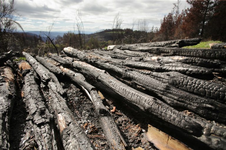 La Xunta llama a las empresas forestales a decir «qué quieren» para casar formación de FP con necesidades del sector