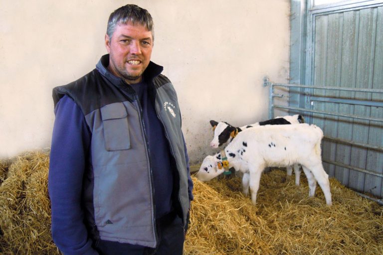 Rural.- Agromuralla reclama que los precios de la leche se «mantengan o suban» ante la inminente revisión de contratos