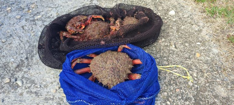 Pesca.- Interceptados en Vigo tres furtivos con casi siete kilos de centollas y dos kilos de almejas