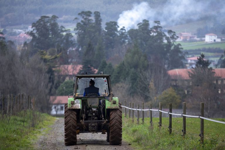 Rural.- Casi 300 explotaciones reciben cerca de 23 millones para mejora de eficiencia energética
