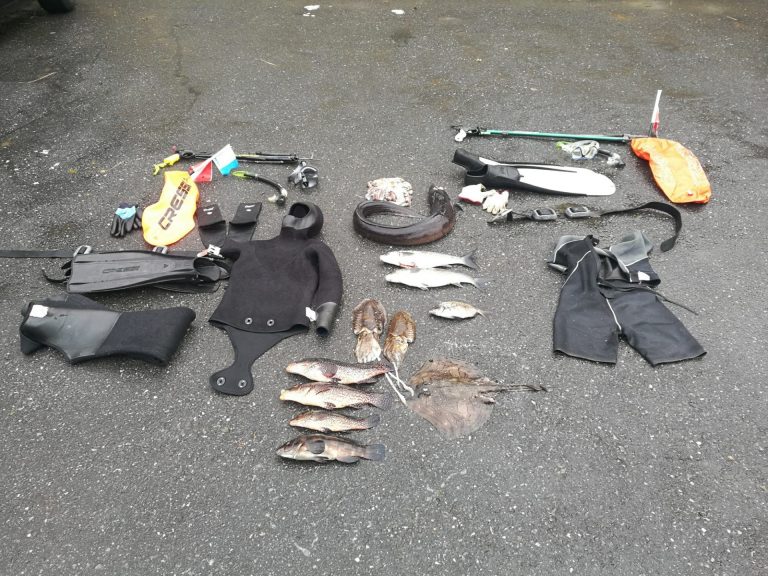 Pesca.- Identificados dos buzos por la captura ilegal de más de 13 kilos de pescado y moluscos en Vigo