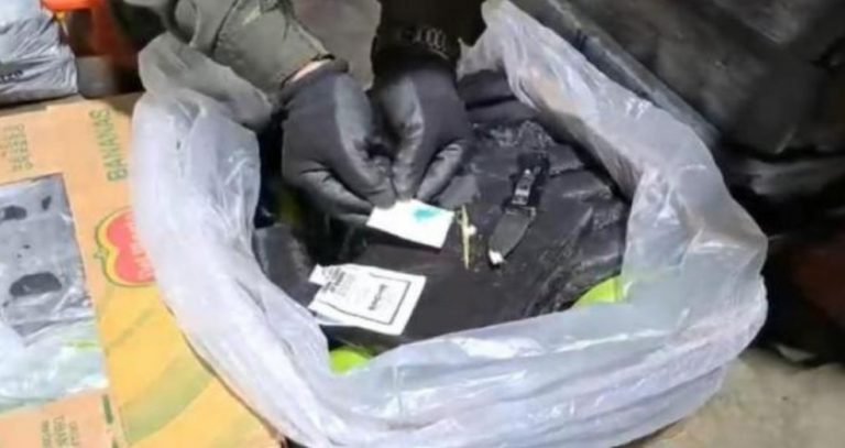 La Policía colombiana intercepta 1,3 toneladas de clorhidrato de cocaína en un contenedor de fruta con destino Vigo