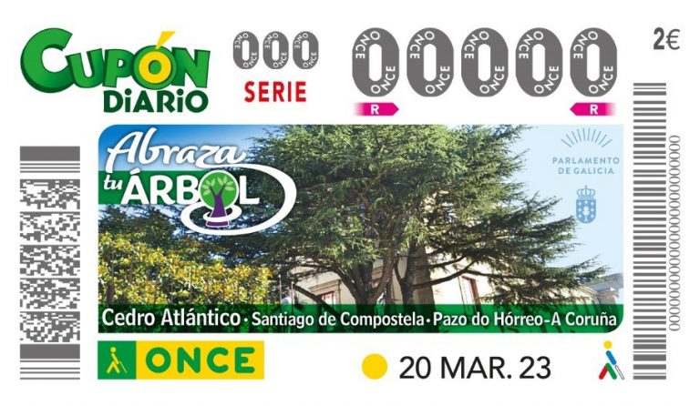 El Cedro Atlántico del Pazo do Hórreo protagoniza el primer cupón de la ONCE de la serie ‘Abraza tu árbol’