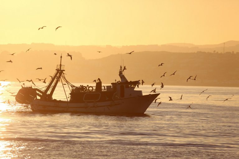 Pesca.- España defenderá la pesca de arrastre frente al plan de Bruselas de eliminarla de zonas protegidas para 2030