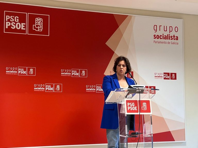 El PSdeG inicia una ofensiva para pedir al Gobierno de Rueda que retire el recurso al impuesto de grandes fortunas