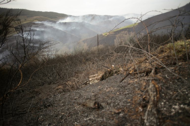 Controlado el incendio de Alfoz (Lugo), que alcanza las 120 hectáreas calcinadas