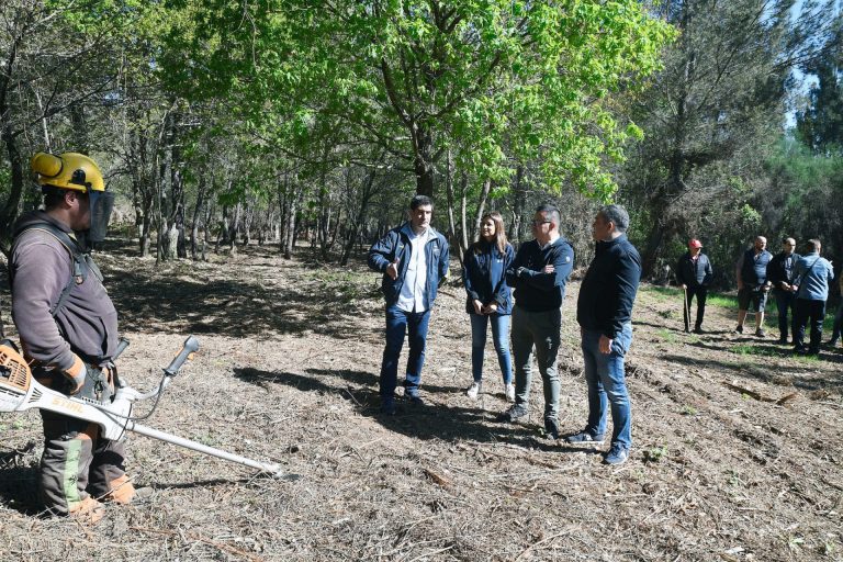 Rural.- La Xunta avanza en las tareas de desbroce de dos polígonos agroforestales en Monterrei y en Riós (Ourense)