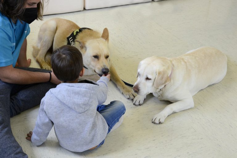 Analizan los beneficios del uso de perros con menores ingresados en un estudio con apoyo de la Fundación María José Jove