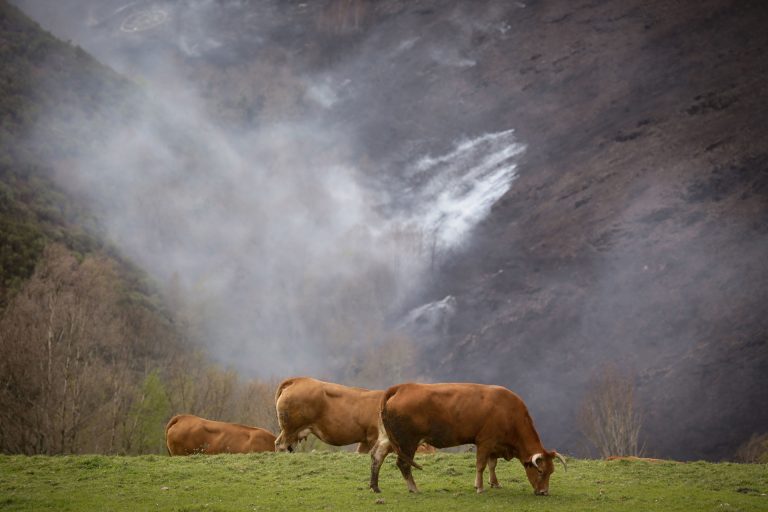 Consello.- Inicia su tramitación la ley de incendios prometida en 2021 que apuesta por activar territorio para prevenir