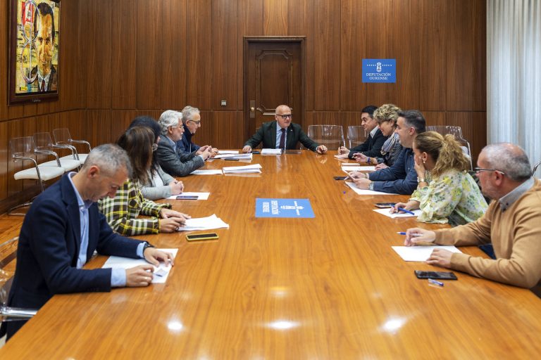 La Diputación de Ourense aprueba 1,1 millones para 39 proyectos municipales
