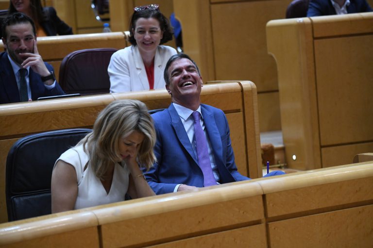 Sánchez llama a Feijóo «calamitoso» y «periatético» y dice que la política nacional «le viene grande o le queda lejos»