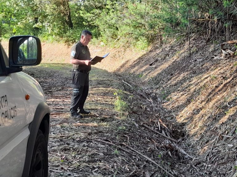 Rural.- Medio Rural realiza desbroces y labores de mantenimiento de las pistas forestales en Padrón (A Coruña)