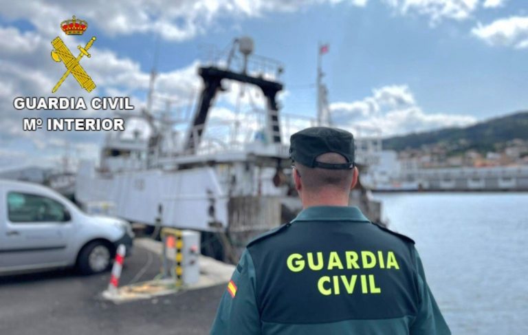 Intervenidos 850 kilos de pescado sin documentar en el Puerto de Marín (Pontevedra)