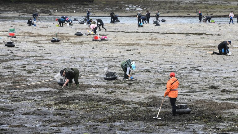 Pesca.- Cofradías de Pontevedra piden poder realizar actividades accesorias al marisqueo durante un cese temporal