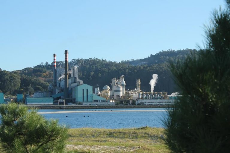 Un proyecto académico cifra en casi 100 millones de euros la renaturalización de la ría de Pontevedra sin Ence