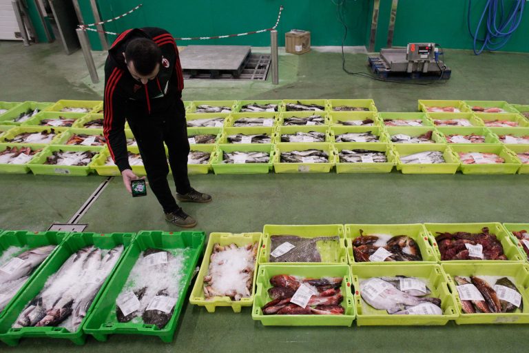 Pesca.- La secretaria general de Pesca subraya la importancia de la ciencia y la innovación para el sector pesquero