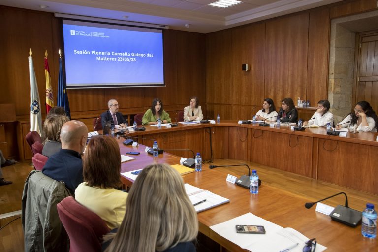 El Consello das Mulleres aborda la nueva ley de igualdad y la Xunta apela a las empresas por el «bienestar laboral»