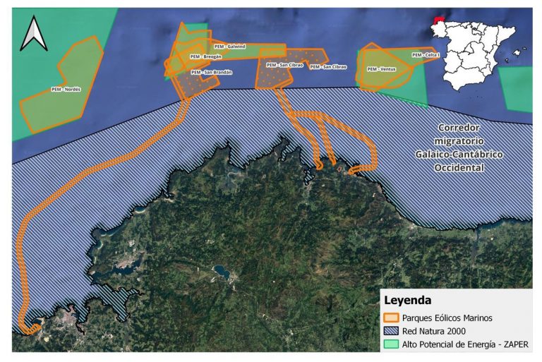 Ecologistas alertan de que proyectos de eólica marina en Galicia son «un peligro» para la migración de millones de aves