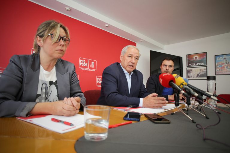 Tomé dice que el PSOE de Lugo logra objetivos y que los órganos del partido decidirán el presidente provincial