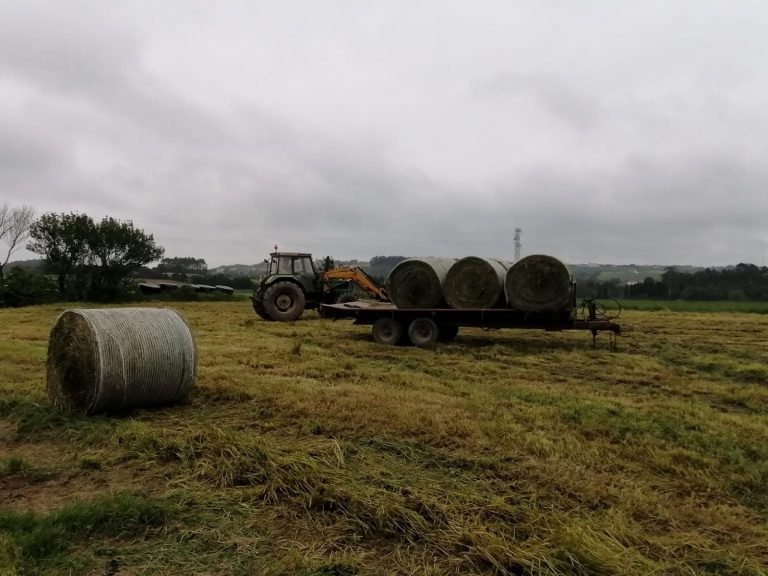 Rural.- Ampliado el plazo de presentación de la solicitud única de las ayudas de la PAC hasta el 15 de junio