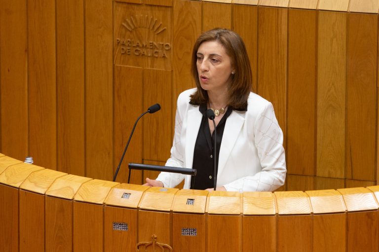 Pleno.- La Xunta demanda una comisión bilateral al Gobierno sobre la ley de vivienda, pues «ya está habiendo parálisis»