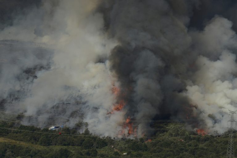 La Asociación Forestal alega a la futura ley antincendios para que las administraciones asuman las franjas de seguridad