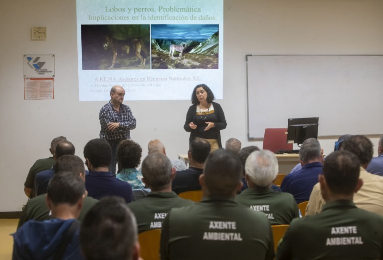 La Xunta pone en valor el trabajo de agentes ambientales en el seguimiento de los daños por lobo