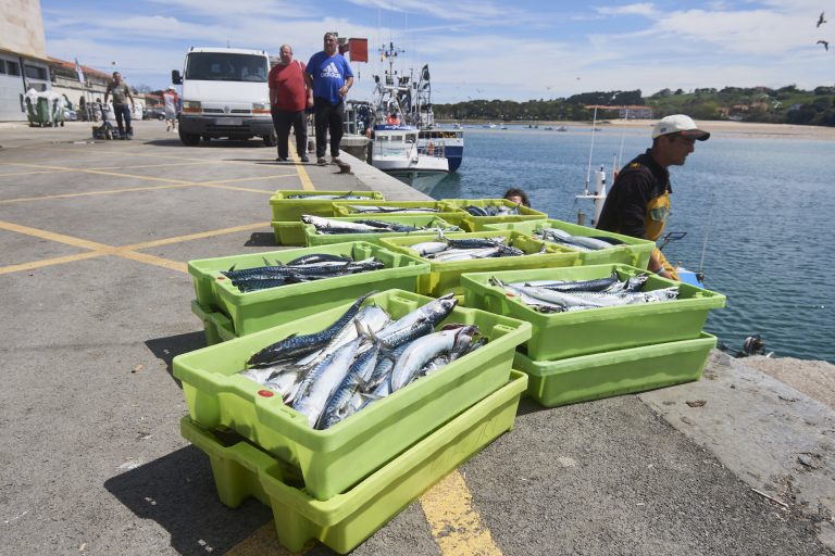 Bruselas prevé pasar en 2024 a cuotas pesqueras bienales para poblaciones exclusivas UE, como pide España