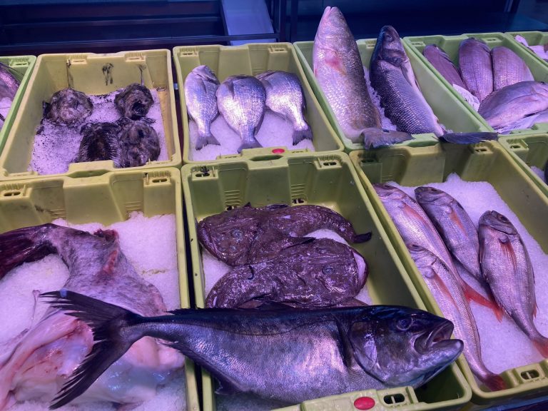 Pesca.- Cepesca lamenta que el Gobierno excluya de nuevo a los productos pesqueros de la bajada del IVA alimentario