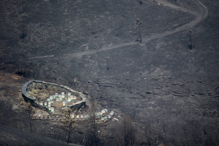 Rural.- Un año de los mayores fuegos de Galicia: caminos y casas destrozados, turbidez del agua y reordenación pendiente